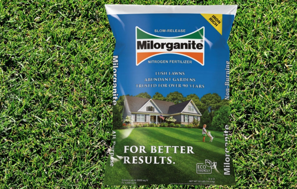 How To Make Grass Thicker And Fuller 14 Pro Strategies