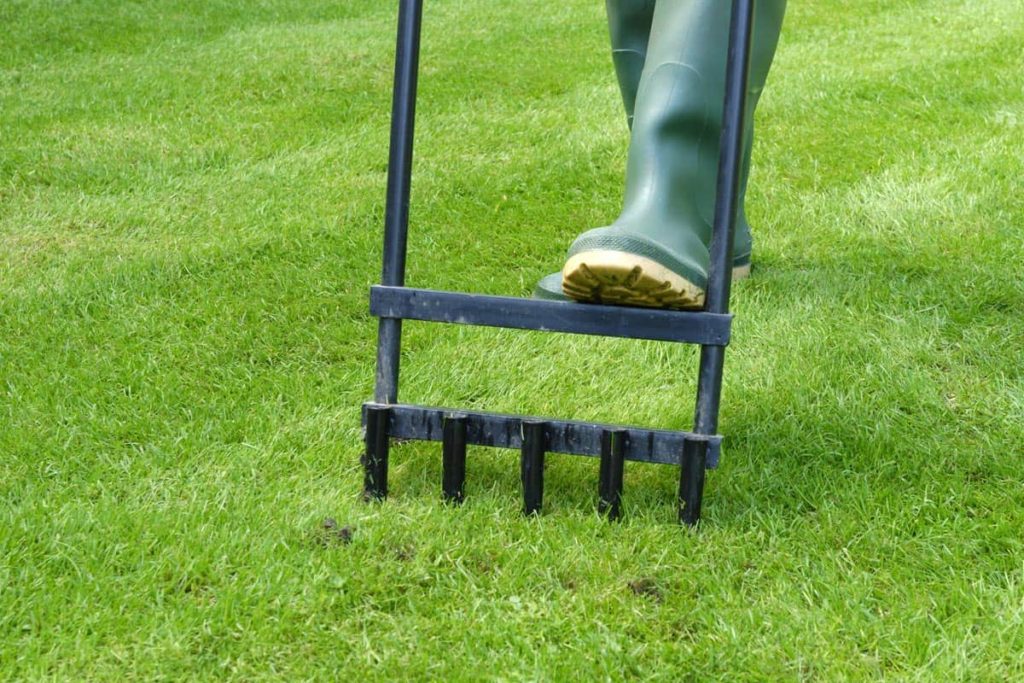 What To Do After Aerating Lawn Top Ways Problem To Resolve