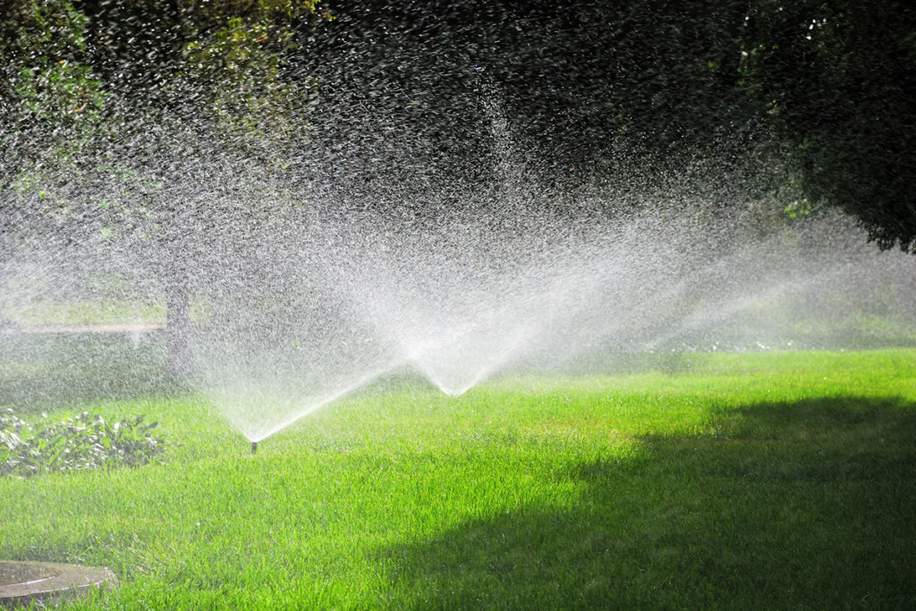 The best times to water grass seed