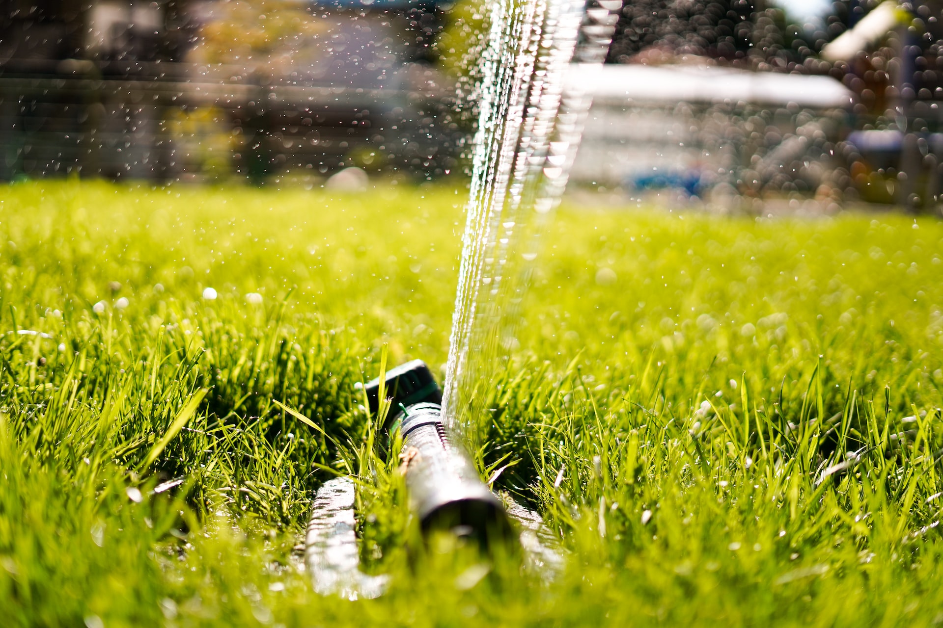 Water Lawn With Oscillating Sprinkler 3 Best Helpful Tips