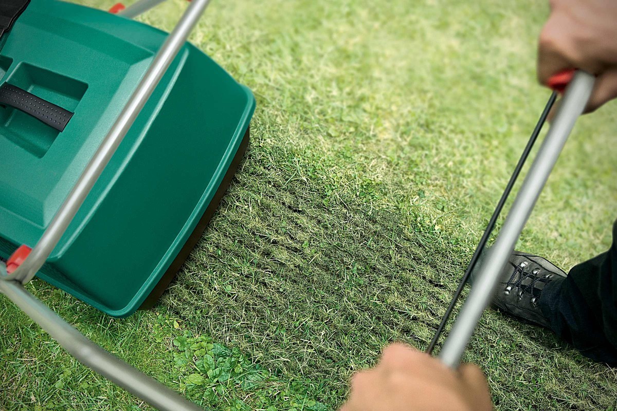 What To Do After Aerating Lawn Top Ways Problem To Resolve