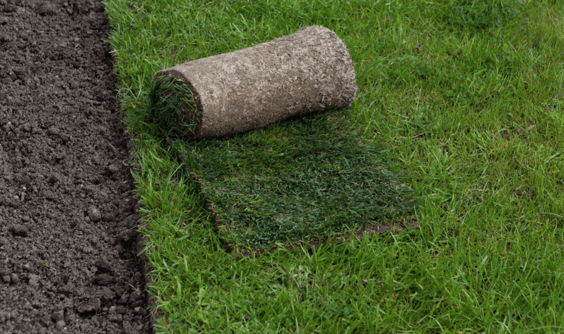 How To Make Grass Thicker And Fuller 14 Pro Strategies