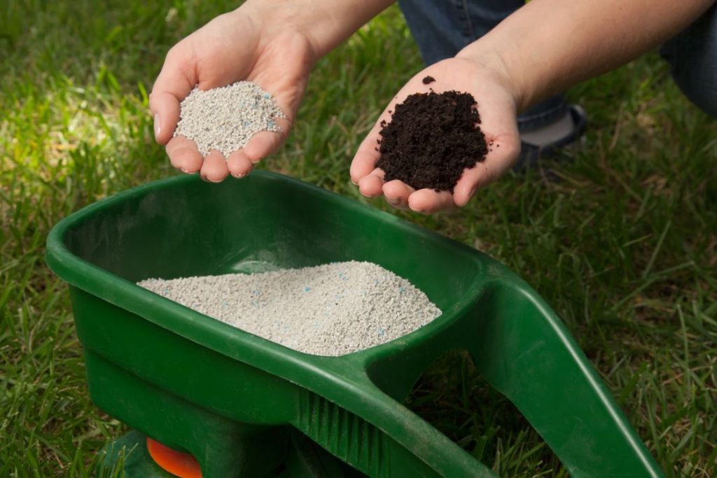 When is the best time to fertilize lawn: before or after rain falls?