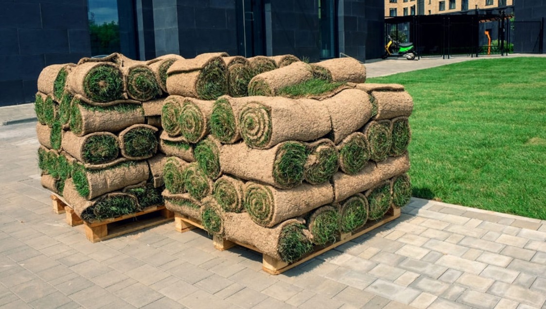 how-much-does-a-pallet-of-sod-weigh-5-important-types