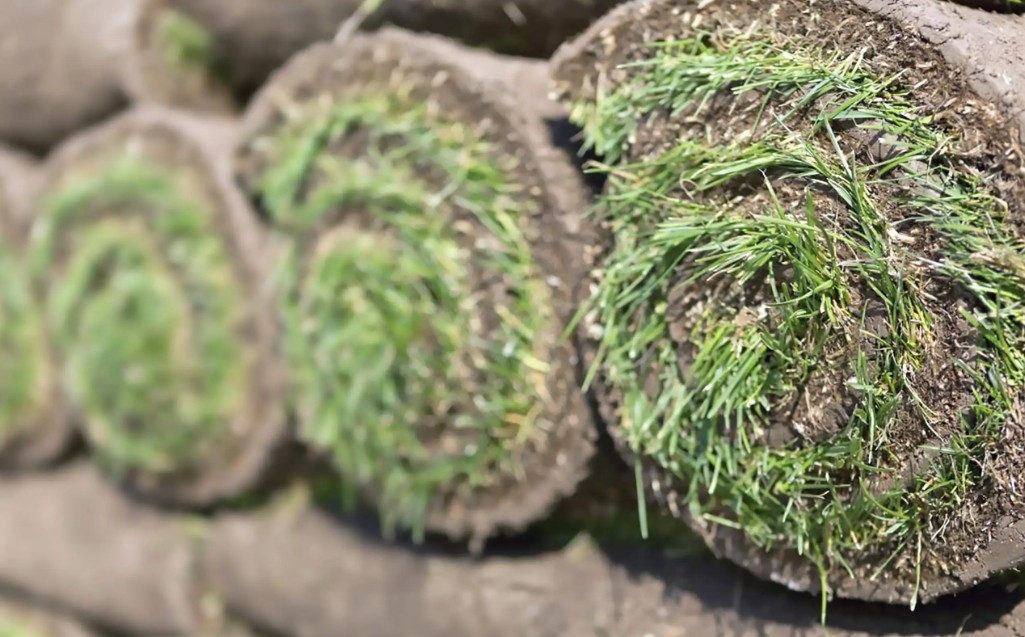 How Much Does A Pallet Of Sod Weigh 5 Important Types