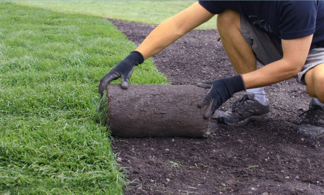 How Much Does A Pallet Of Sod Weigh 5 Important Types