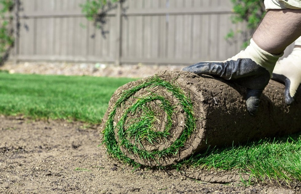 How Much Does A Pallet Of Sod Weigh 5 Important Types