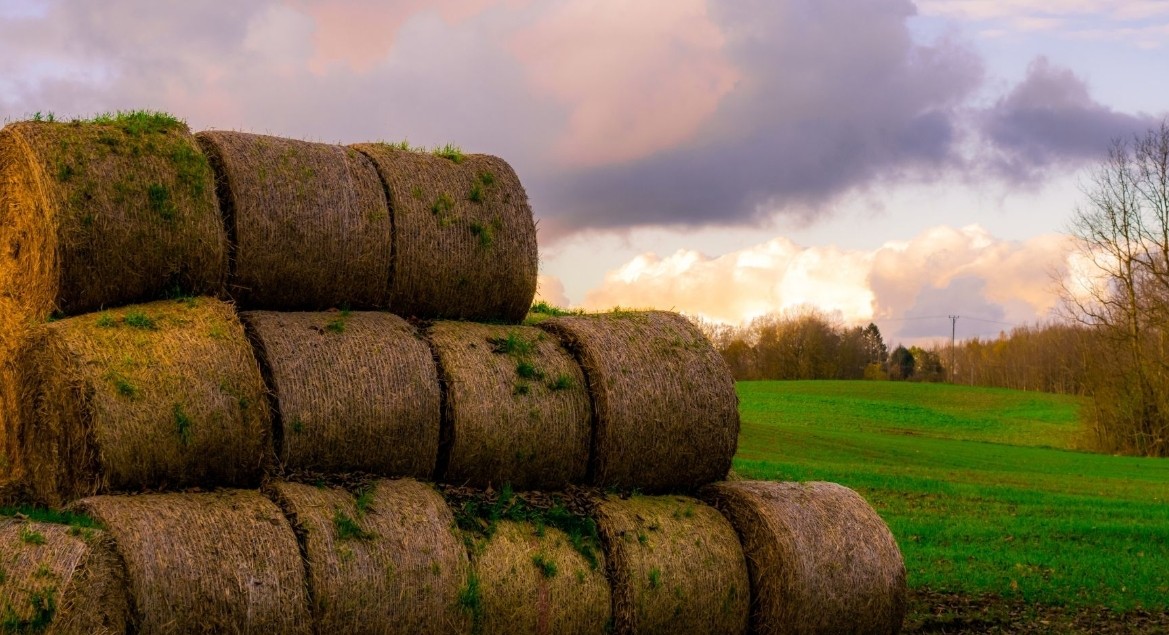 How Much Does A Pallet Of Sod Weigh 5 Important Types