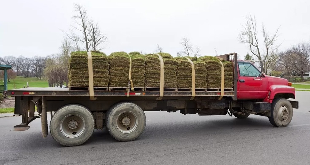 How Much Does A Pallet Of Sod Weigh 5 Important Types