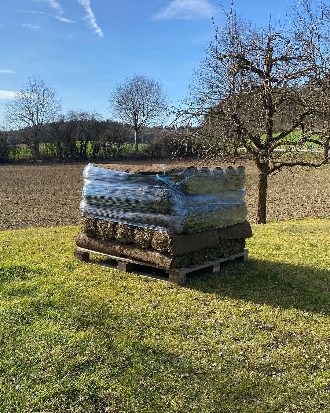 How Much Does A Pallet Of Sod Weigh 5 Important Types