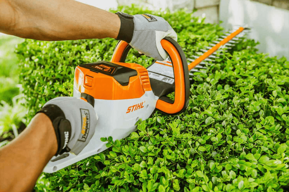 how-to-cut-grass-without-lawn-mower-best-methods-and-ways