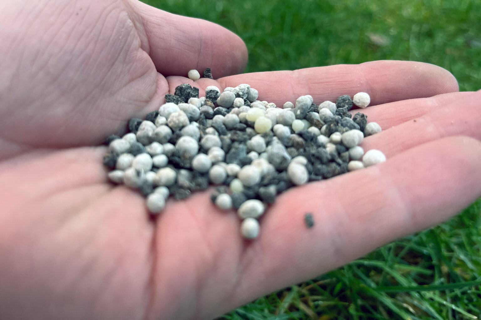 How To Make Grass Thicker And Fuller 14 Pro Strategies